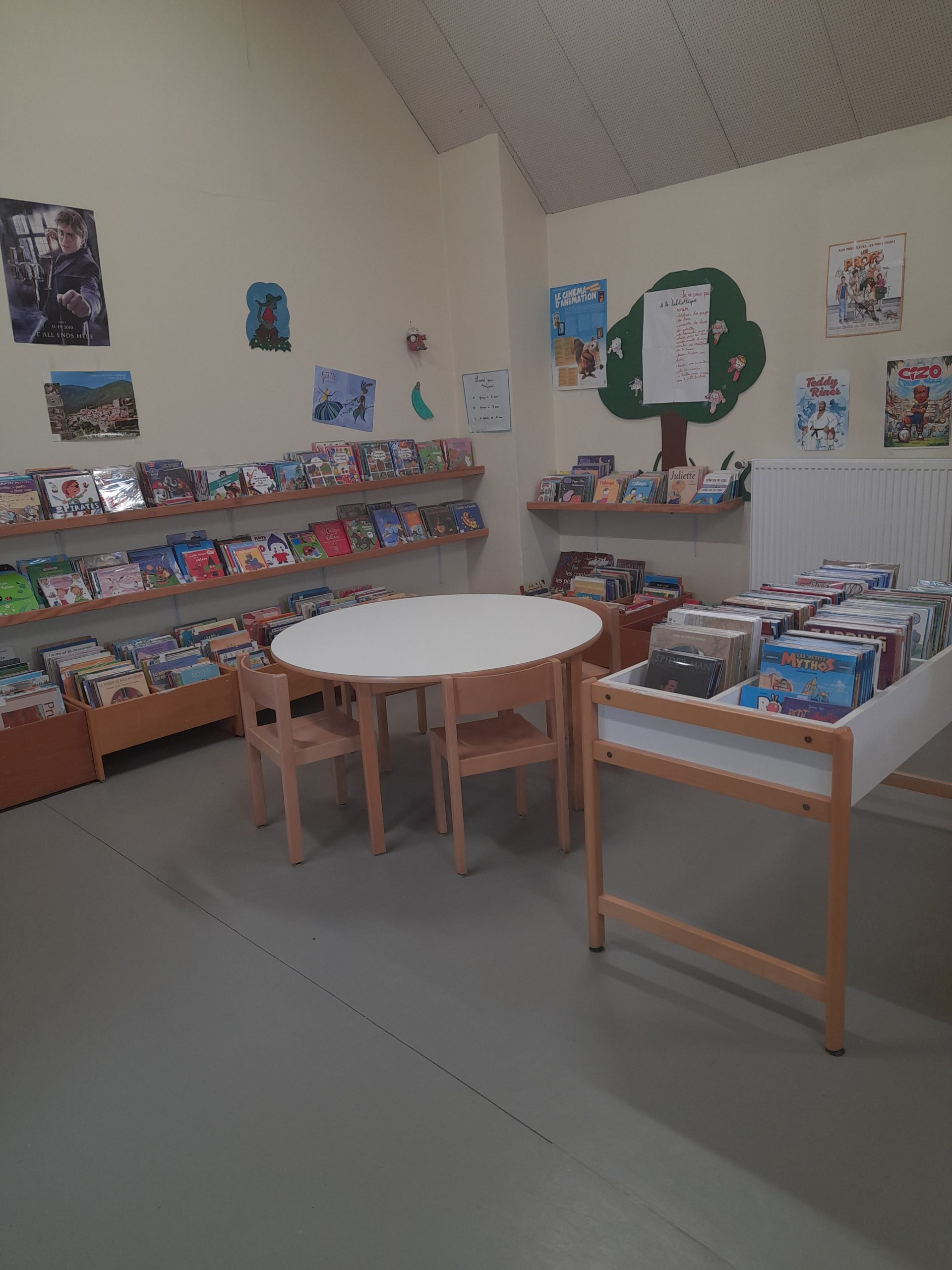 Photo bibliothéque 2
