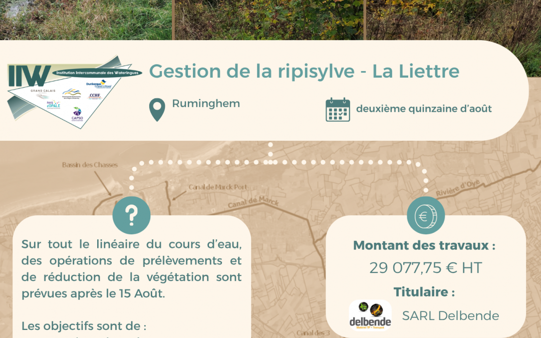 Travaux de gestion de la ripisylve après le 15 août sur tout le linéaire de la Liette